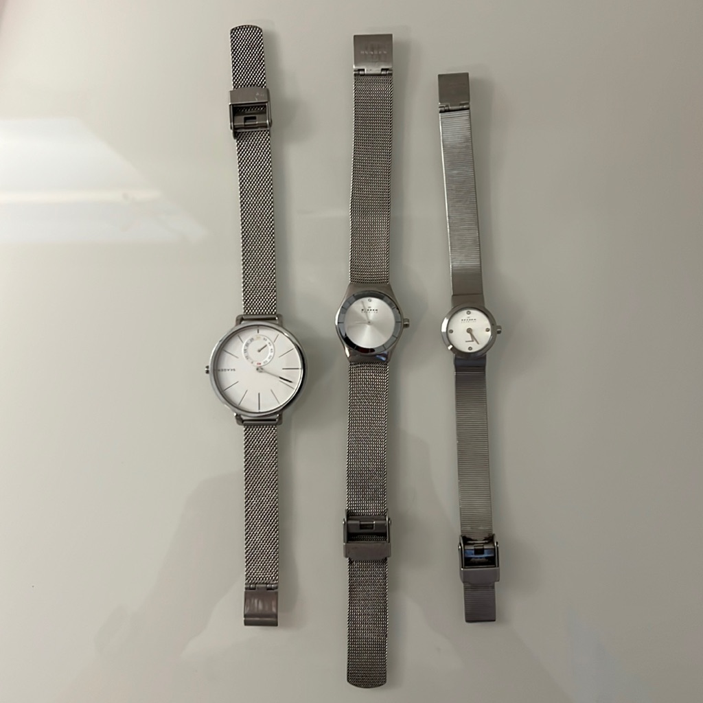 Skagen Ladies Stainless Steel Watches